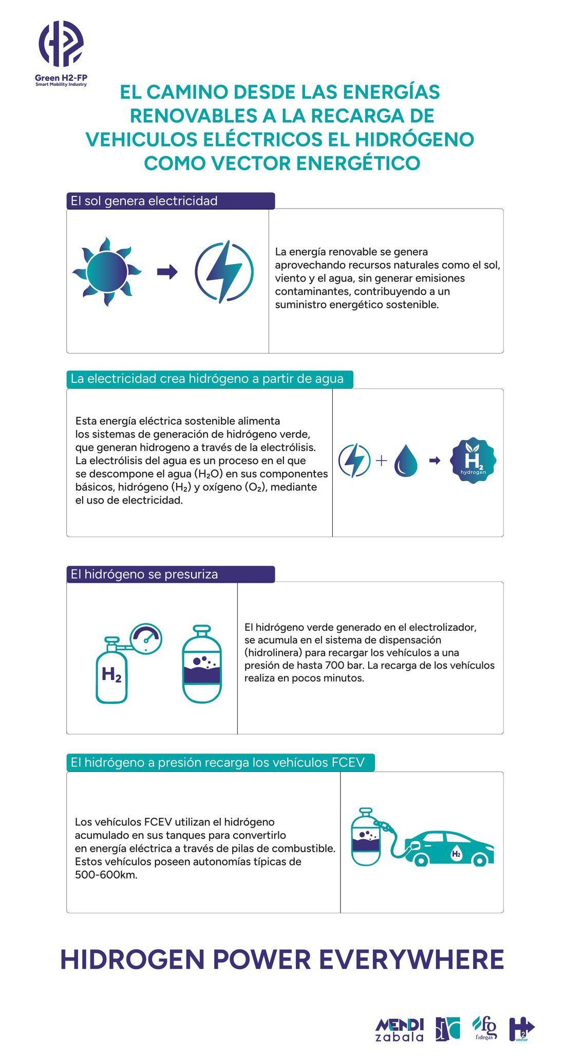 Lona infográfica vertical